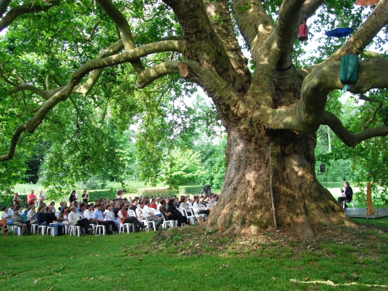 20e Arborencontre sous le platane remarquable du domaine d'Aunoy à Champeaux - 2008