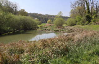 Bassins de régulation des eaux de l’Aulnoy et des Près de Coupvray (77)
