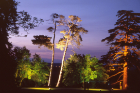 Mise en lumière du parc de la Brosse-Montceaux - 2009 - 21e Arborencontre