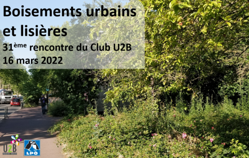 Boisements urbains et lisières - 31e rencontre