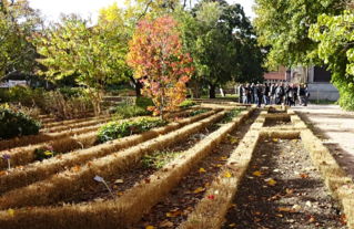 ArboVisite à Nancy en 2018