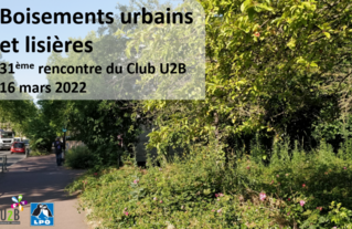 Boisements urbains et lisières - 31e rencontre